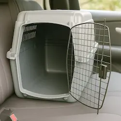 Transportboxen fürs Auto